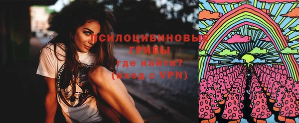 тгк Арсеньев